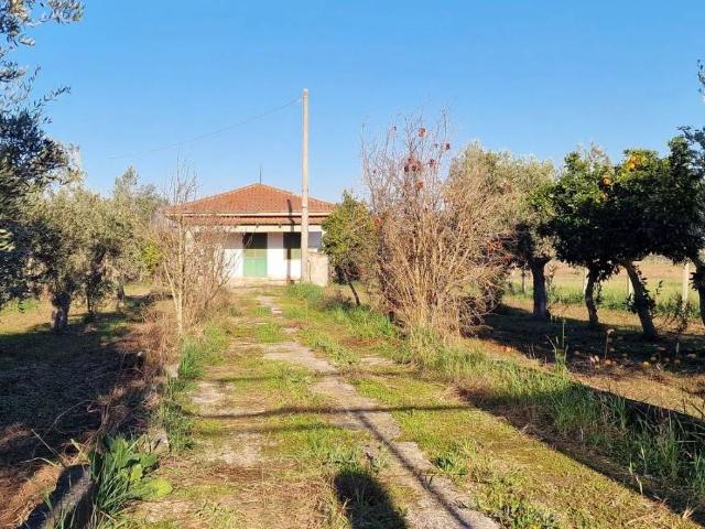 Villa Indipendente in vendita a San Sebastiano, Sessa Aurunca