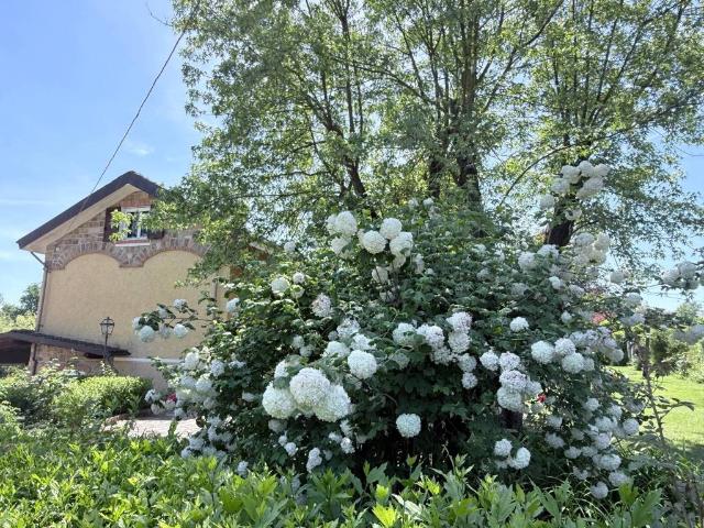 Villa Indipendente in vendita a Sezzadio, Alessandria