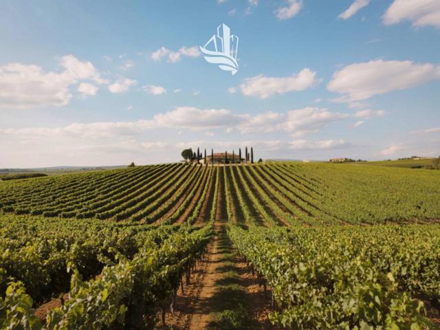 Villa Indipendente in vendita a Ravacciano, Siena
