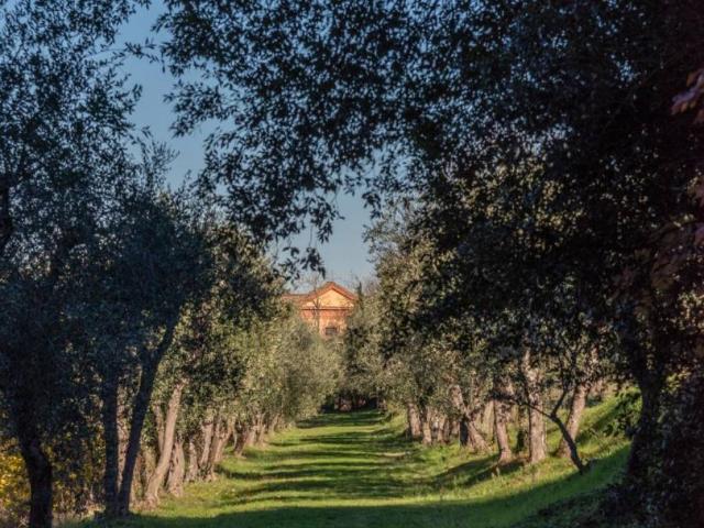 Villa Indipendente in vendita a Siena, Toscana
