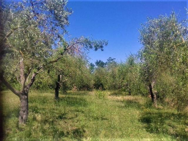 Villa Indipendente in vendita a Guazzino, Sinalunga