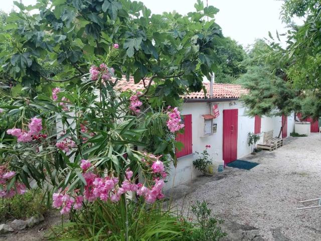 Villa Indipendente in vendita a Sogliano Al Rubicone, Reggio Emilia