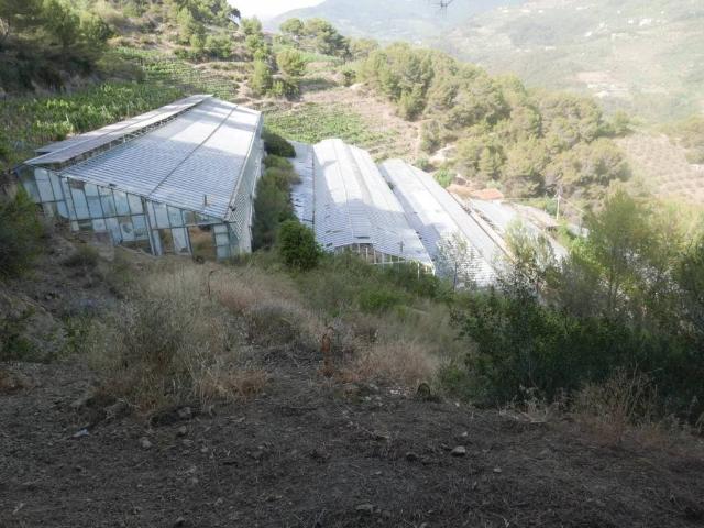 Villa Indipendente in vendita a Soldano, Liguria