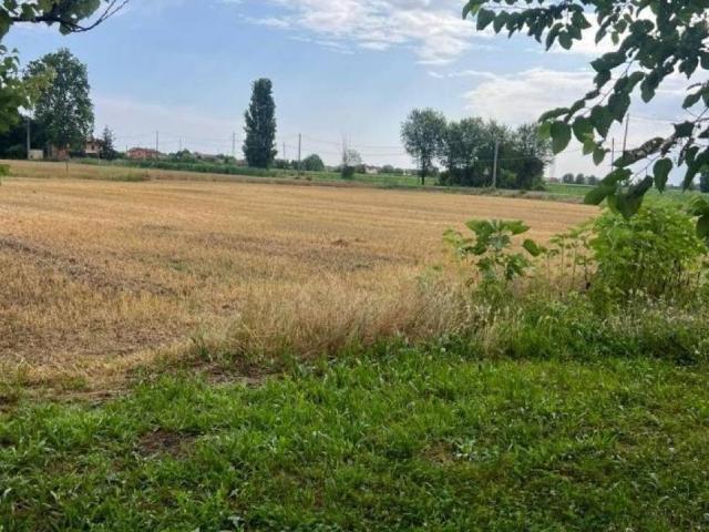 Villa Indipendente in vendita a Solesino, Veneto