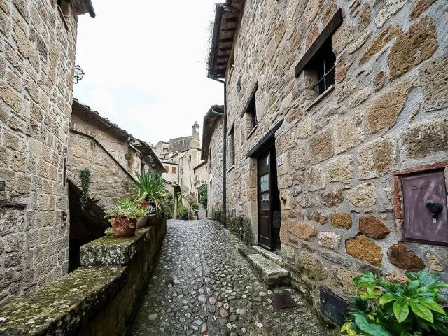 Villa Indipendente in vendita a Unione di Comuni Montani Colline del Fiora, Sorano