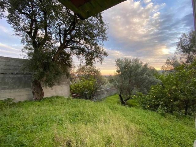 Villa Indipendente in vendita a Calabria, Catanzaro