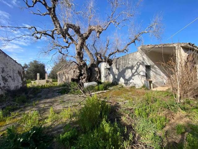 Villa Indipendente in vendita a Puglia, Lecce