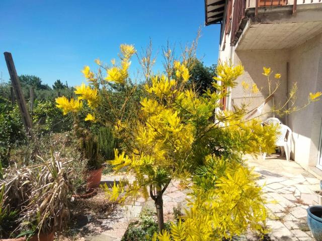 Villa Indipendente in vendita a Spello, Umbria