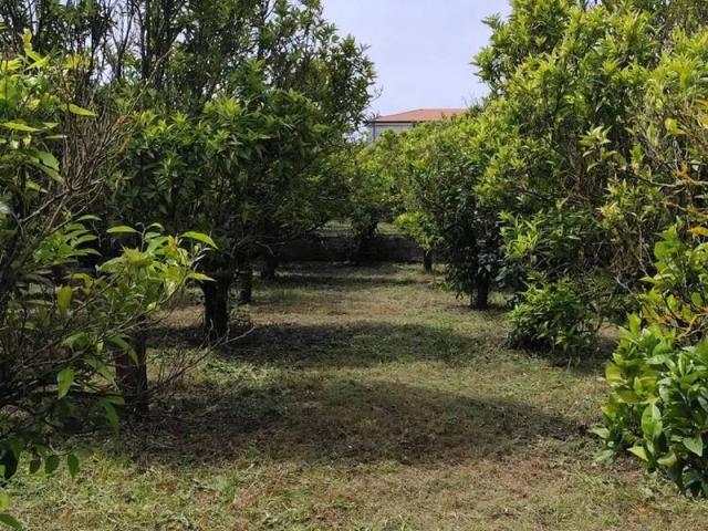 Villa Indipendente in vendita a Sperlonga, Lazio