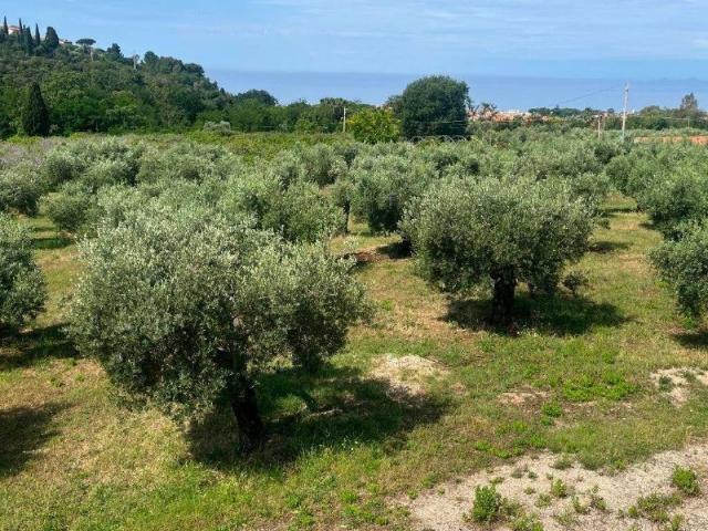Villa Indipendente in vendita a Sperlonga, Lazio