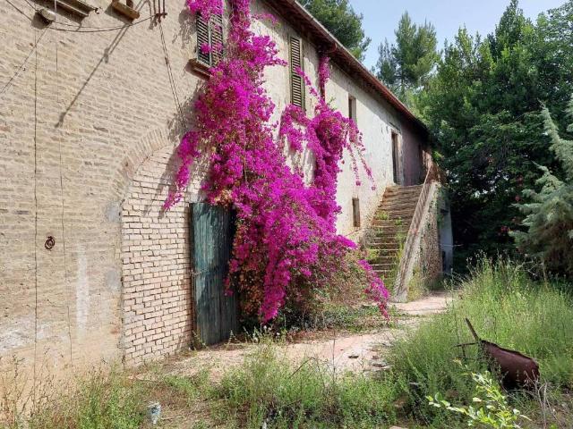 Villa Indipendente in vendita a Marche, Ascoli Piceno