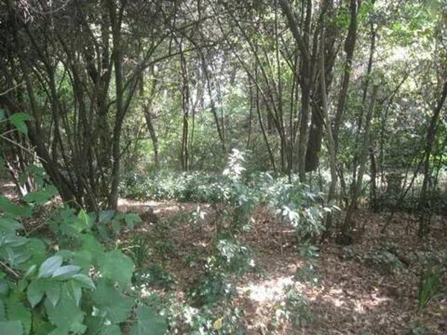 Villa Indipendente in vendita a Marche, Ascoli Piceno