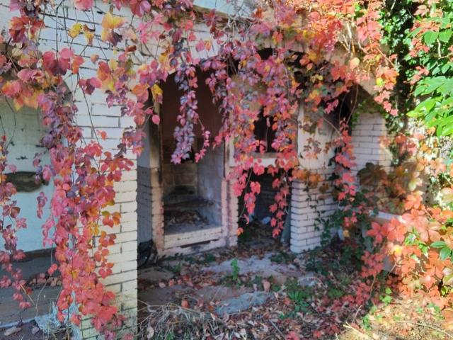 Villa Indipendente in vendita a Fontevivola, Sutri