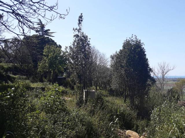Villa Indipendente in vendita a Tarquinia, Lazio