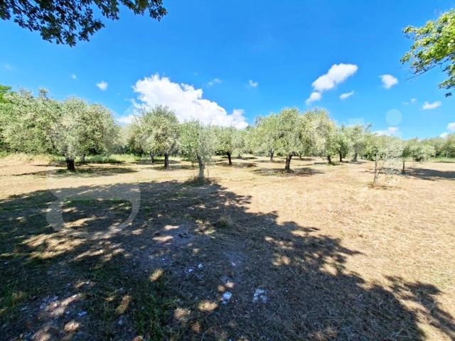 Villa Indipendente in vendita a Teano, Campania
