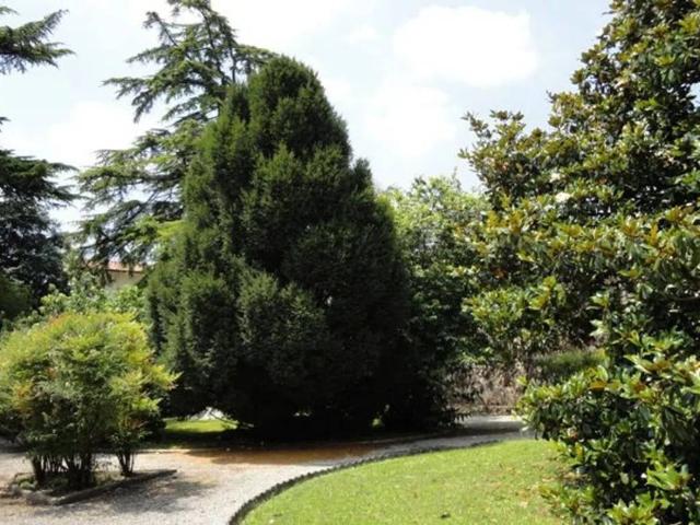 Villa Indipendente in vendita a Teglio Veneto, Veneto