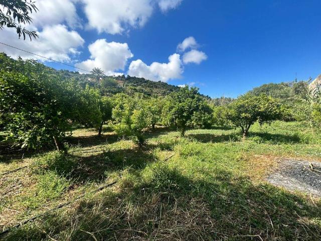 Villa Indipendente in vendita a Termini Imerese, Sicilia