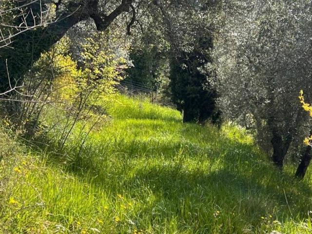 Villa Indipendente in vendita a Campitello, Terni