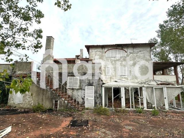 Villa Indipendente in vendita a Penna, Terranuova Bracciolini
