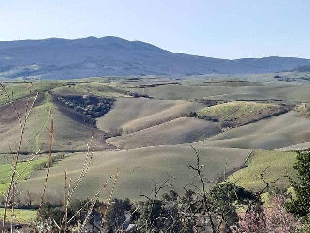 Villa Indipendente in vendita a Terricciola, Toscana
