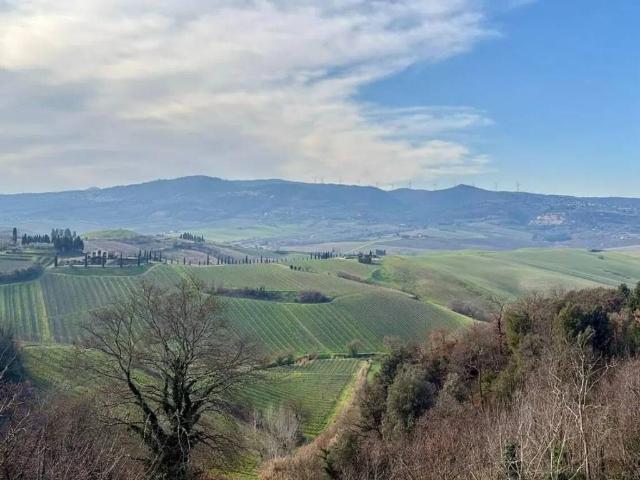 Villa Indipendente in vendita a Terricciola, Toscana