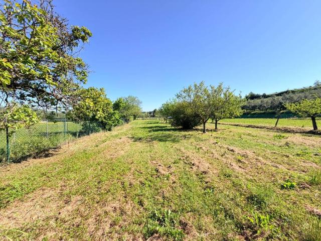 Villa Indipendente in vendita a Terricciola, Toscana