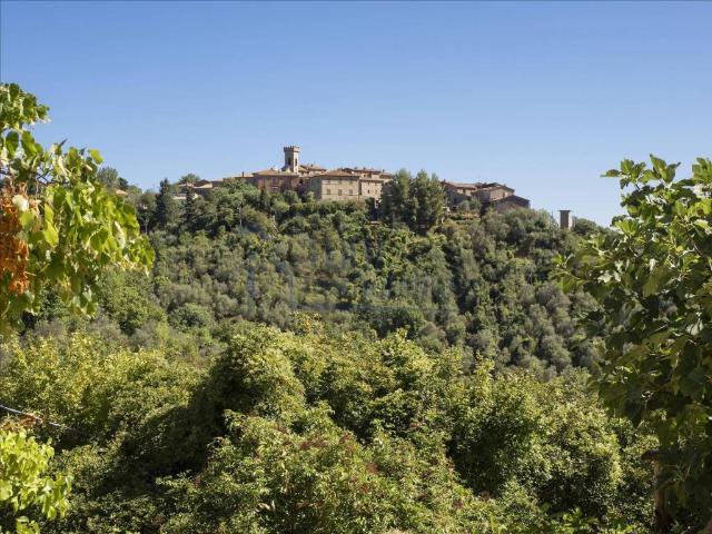 Villa Indipendente in vendita a Izzalini, Umbria
