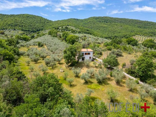 Villa Indipendente in vendita a Toffia, Lazio
