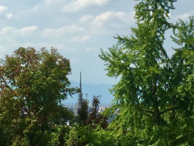 Villa Indipendente in vendita a Reaglie, Piemonte