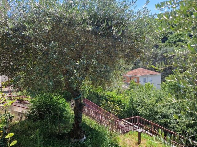 Villa Indipendente in vendita a Circoscrizione 7, Piemonte