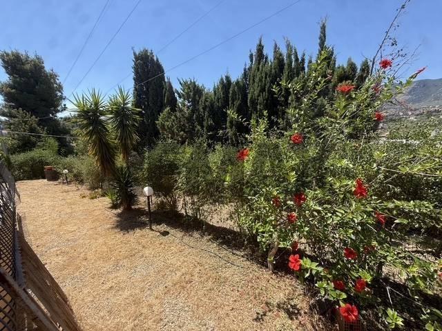 Villa Indipendente in vendita a Trabia, Sicilia
