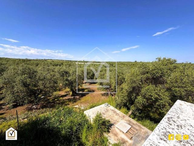 Villa Indipendente in vendita a Puglia, Barletta-andria-trani