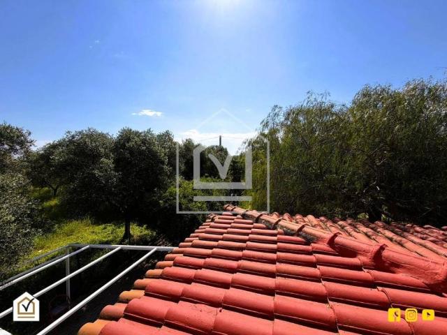 Villa Indipendente in vendita a Puglia, Barletta-andria-trani