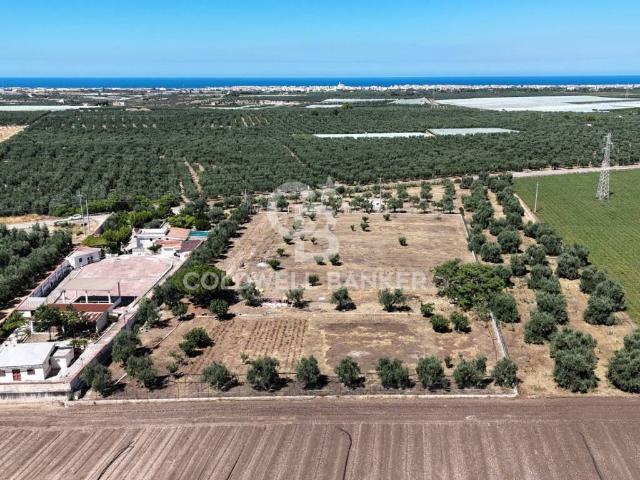 Villa Indipendente in vendita a Puglia, Barletta-andria-trani
