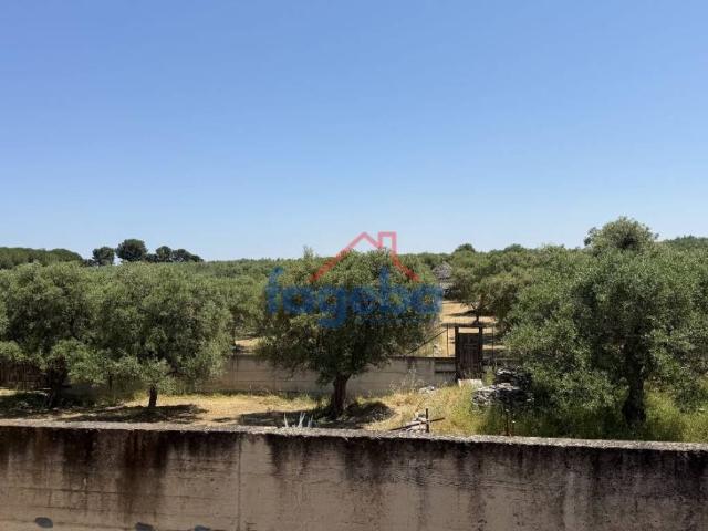 Villa Indipendente in vendita a Puglia, Barletta-andria-trani