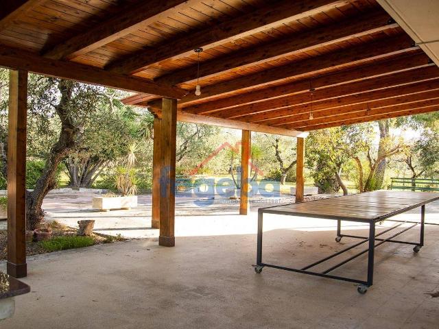 Villa Indipendente in vendita a Puglia, Barletta-andria-trani