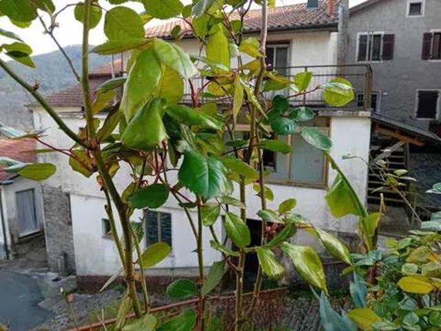 Villa Indipendente in vendita a Unione di comuni Montana Lunigiana, Tresana