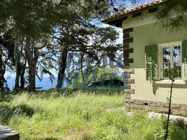 Villa Indipendente in vendita a Conconello / Ferlugi, Villa Opicina