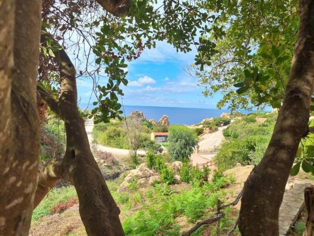 Villa Indipendente in vendita a Trinità d'Agultu e Vignola, Sardigna/Sardegna