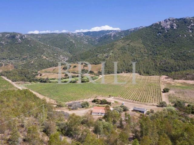 Villa Indipendente in vendita a Trinità d'Agultu e Vignola, Sardigna/Sardegna