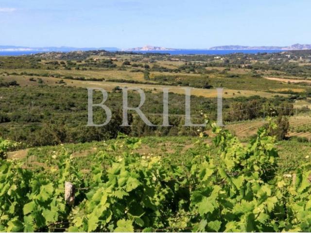 Villa Indipendente in vendita a Trinità d'Agultu e Vignola, Sardigna/Sardegna