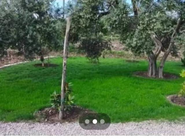 Villa Indipendente in vendita a Puglia, Foggia