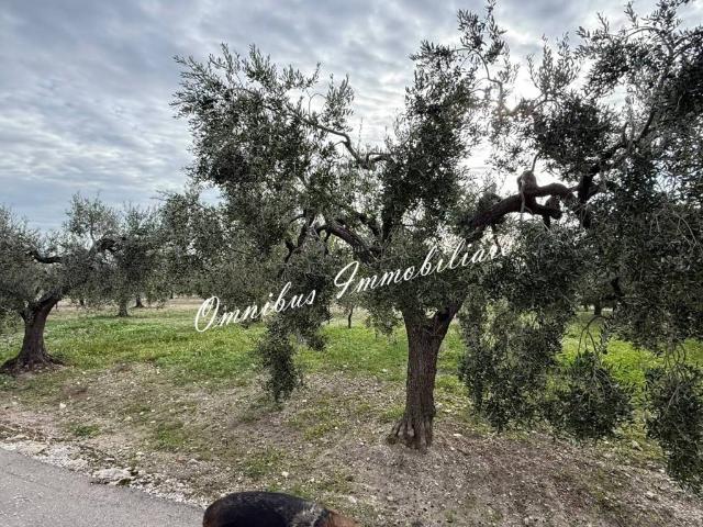 Villa Indipendente in vendita a Puglia, Foggia