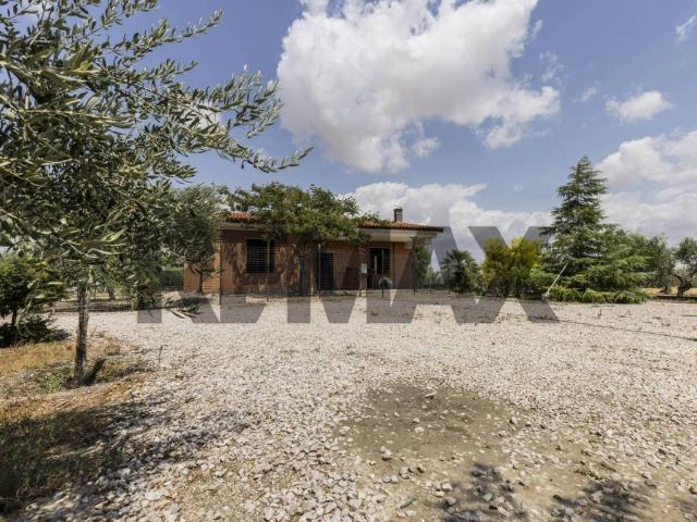 Villa Indipendente in vendita a Puglia, Foggia
