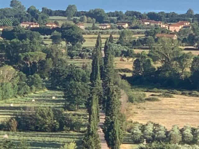 Villa Indipendente in vendita a Tuoro Sul Trasimeno, Umbria