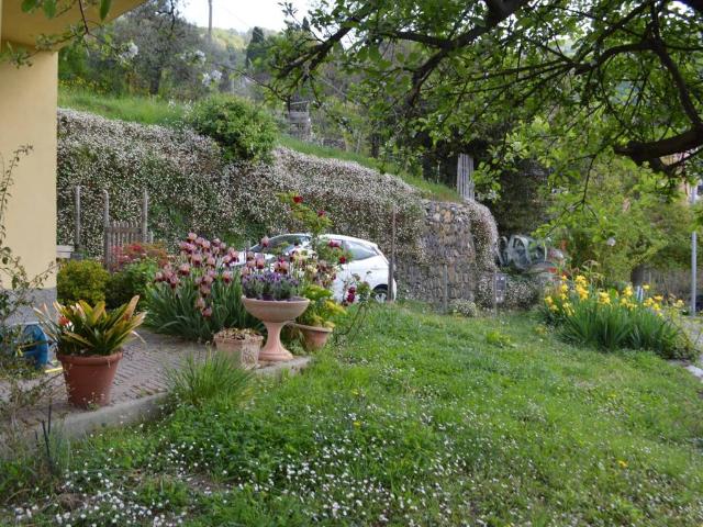 Villa Indipendente in vendita a Tribogna, Liguria