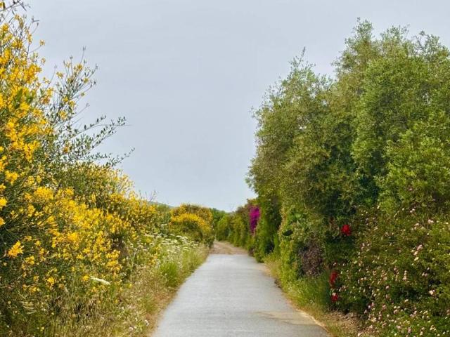 Villa Indipendente in vendita a Uta, Sardigna/Sardegna