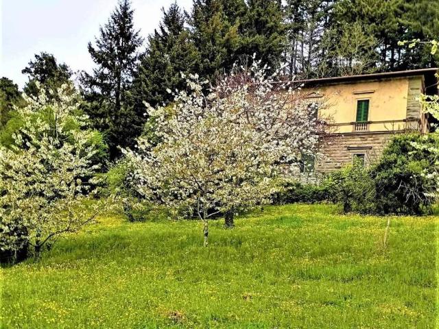 Villa Indipendente in vendita a Vaglia, Toscana