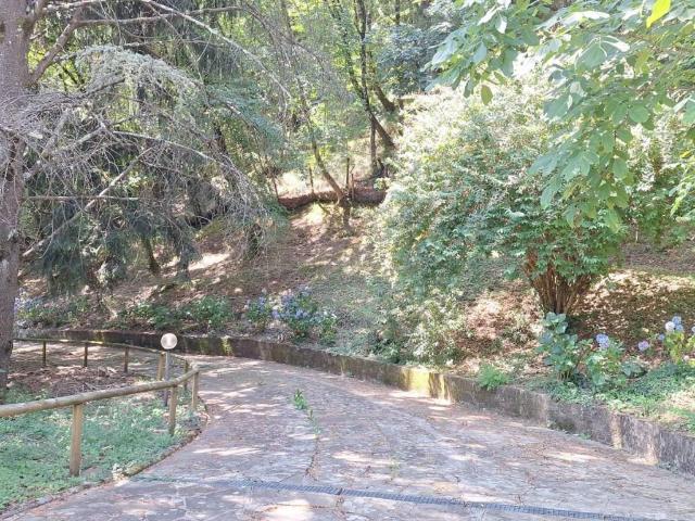 Villa Indipendente in vendita a Vaiano, Toscana