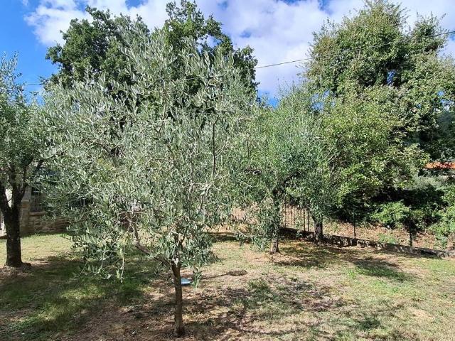 Villa Indipendente in vendita a Vaiano, Prato